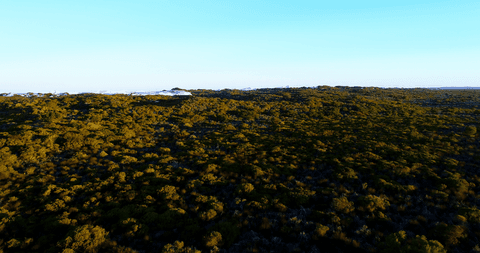lush greenery covering hills under clear blue skies - Download Free Stock Videos Pikwizard.com