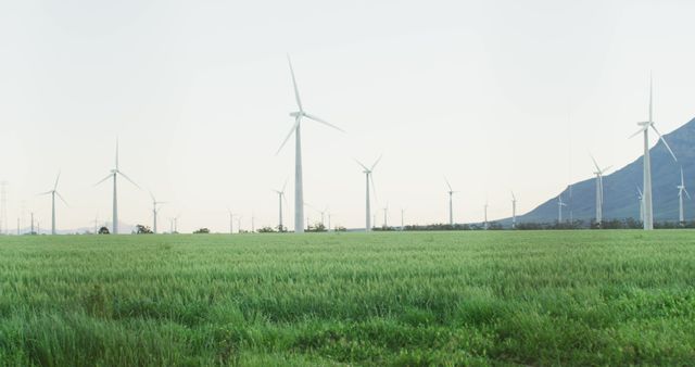 Wind turbines in a green field near mountains on an overcast day, symbolizing renewable and sustainable energy. Ideal for use in environmental conservation projects, clean energy promotions, and rural landscape features in articles or marketing materials.