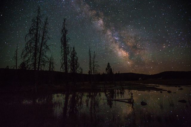 Milky Way stretching across the night sky, reflecting in still lake water. Silhouetted dead trees and forest surroundings add dramatic contrast against starry sky. Ideal for backgrounds, wall art, travel blogs, and nature-themed promotions.