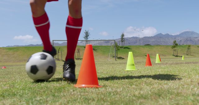 Soccer player practicing dribbling on grass field with training cones - Download Free Stock Images Pikwizard.com