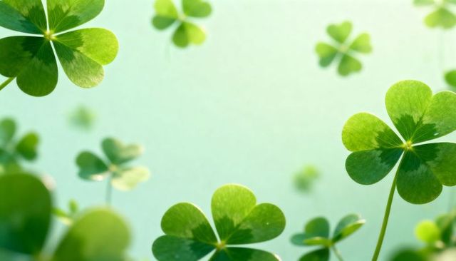 Sunlit clover leaves glowing in soft green bokeh, four-leaf clover close-up for seasonal luck