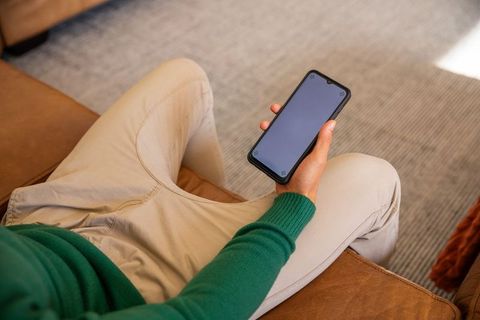 Holding smartphone on brown leather couch in cozy living room with sunlit carpet