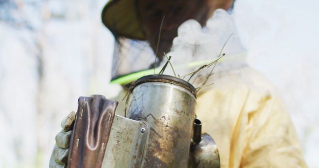 Beekeeper Holding Smoker Working with Bees Outdoors - Download Free Stock Images Pikwizard.com