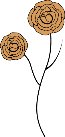 Minimalist Orange Flowers on Transparent Background