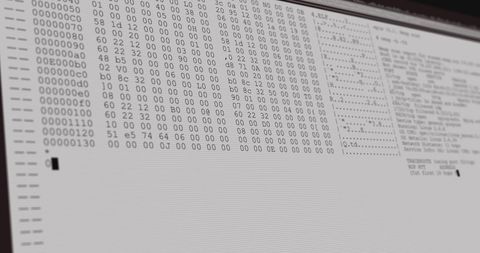 Data Processing on Monochromatic Computer Screen Showing Binary Code - Download Free Stock Images Pikwizard.com