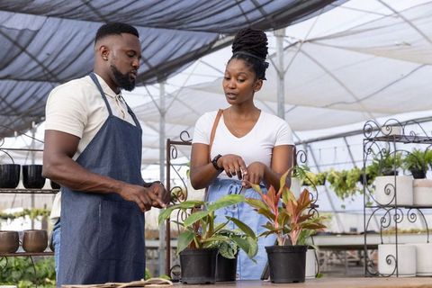 Greenhouse staff advising customer on potted plants and plant care in nursery