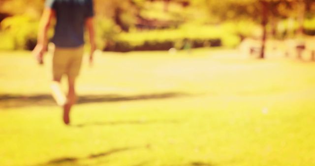 This abstract blurred image of a person walking through a sunlit park captures a peaceful and relaxing moment outdoors. Suitable for use in lifestyle magazines, wellness blogs, background on websites focused on nature and relaxation, or inspirational social media posts. Its diffuse focus and warm tones give a dreamy and meditative feel, ideal for conveying tranquility and serenity.