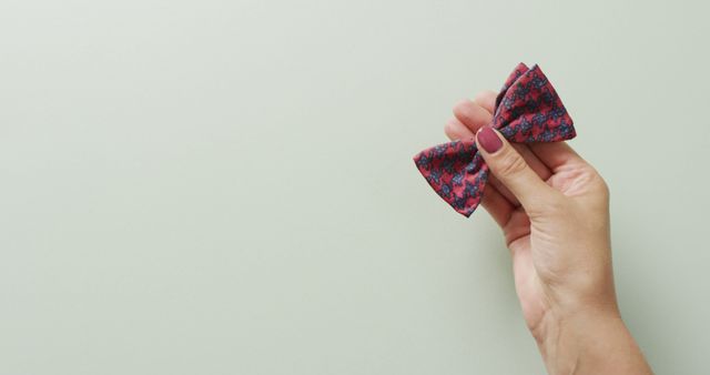 Image of hand of caucasian woman holding red and black bow tie over grey background - Download Free Stock Photos Pikwizard.com