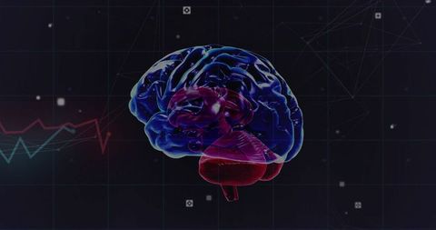 3D Brain Visualization with Digital Data Nodes and Waves