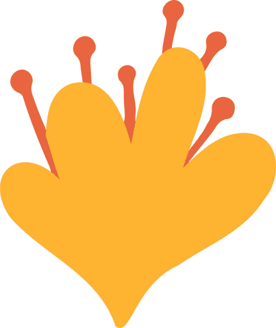 Minimalist Abstract Floral Shape on Transparent Background