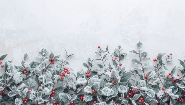 Frosted holly garland featuring red berries along pale textured wall for winter decor