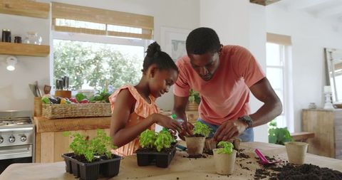 Father and daughter planting herbs indoors for sustainable living