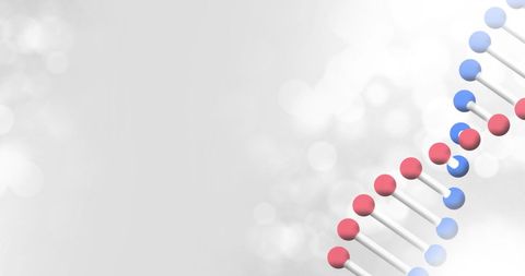 Rotating DNA Strand on Soft Bokeh Background - Download Free Stock Images Pikwizard.com