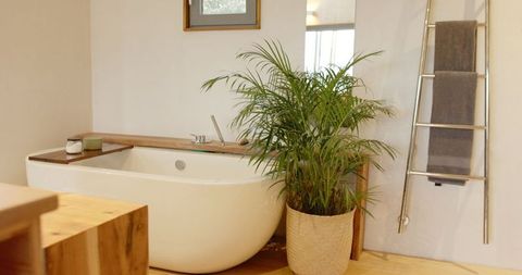 Comfy Nature-Inspired Bathroom with Freestanding Bathtub and Palm