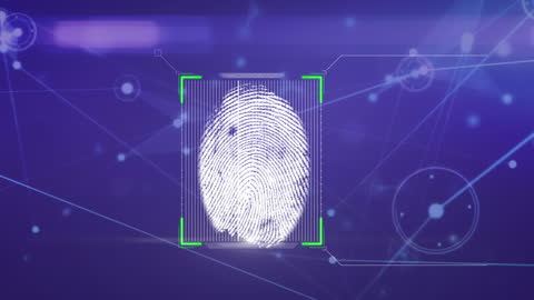 Virtual Network of Connections with Biometrics Security Interface