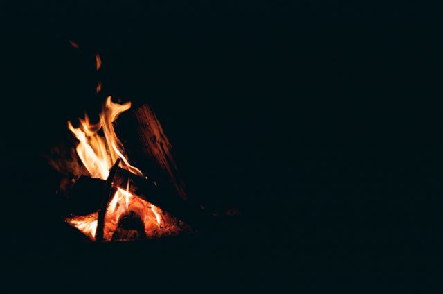Cozy Campfire Burning in Dark Night Outdoors - Download Free Stock Photos Pikwizard.com