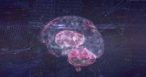 Holographic Brain with Neural Pathways in Digital Interface - Download Free Stock Images Pikwizard.com