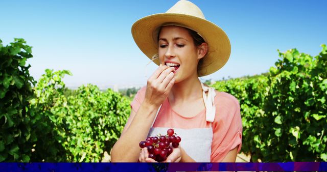 A young woman in a straw hat and an apron enjoying a fresh bunch of grapes while standing in a lush vineyard on a bright sunny day. This image can be used for agricultural, farming, and healthy eating concepts. Suitable for blog posts, advertisements, and marketing materials related to fresh produce, organic farming, and lifestyle content. It conveys themes of freshness, nature, and enjoyment of outdoor activities.