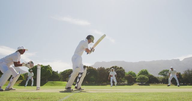 Cricket Team in Action during Daytime Match - Download Free Stock Images Pikwizard.com