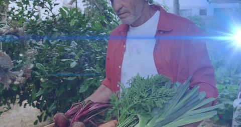 Man Carrying Fresh Harvested Vegetables in Garden