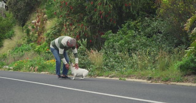 Caring Man Helping Injured White Dog on Roadside - Download Free Stock Images Pikwizard.com