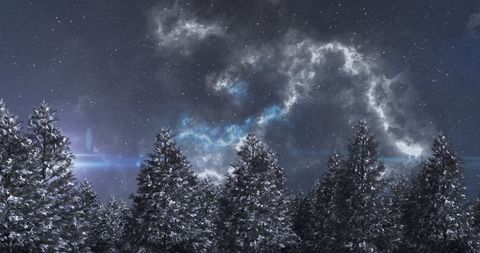 Mystical Night Sky with Shooting Star over Snowy Trees - Download Free Stock Images Pikwizard.com