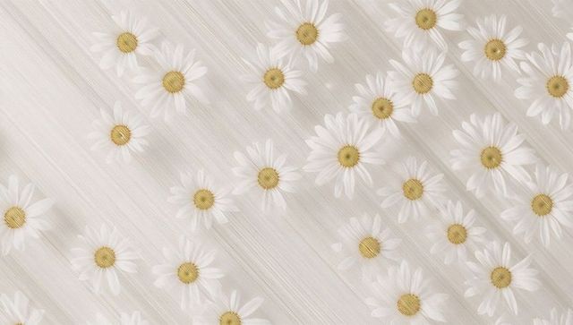 Scattering white daisies on pale wood-grain diagonal flatlay soft pastel floral background