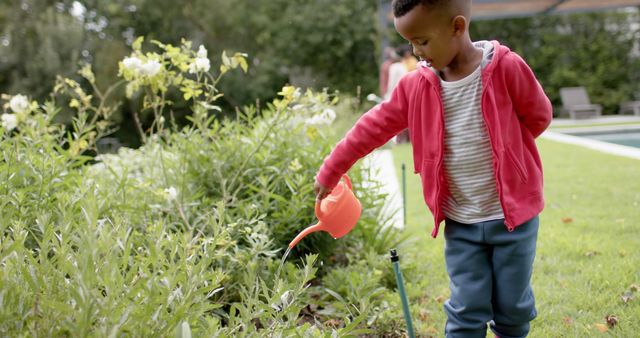 Young Boy Watering Plants in Backyard Garden - Download Free Stock Images Pikwizard.com