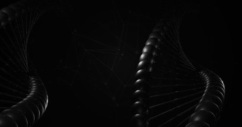 Macro Black DNA Helix on Dark Background - Download Free Stock Images Pikwizard.com