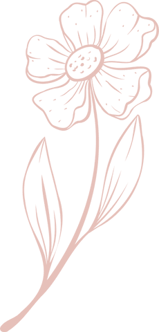 Elegant lineart flower illustration on transparent background