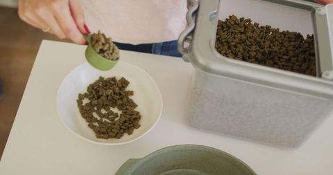 Person Preparing Dog Food at Home Modern Container