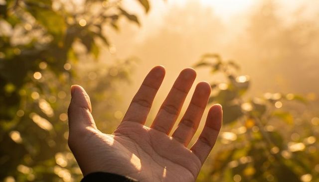 Open hand reaching toward golden sunlight over garden foliage at golden hour
