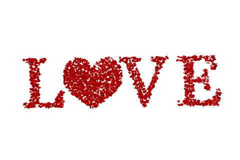 love word created with red petals transparent background - Download Free Stock Videos Pikwizard.com