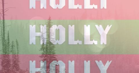 White Holly Text on Festive Stripes Over Forest