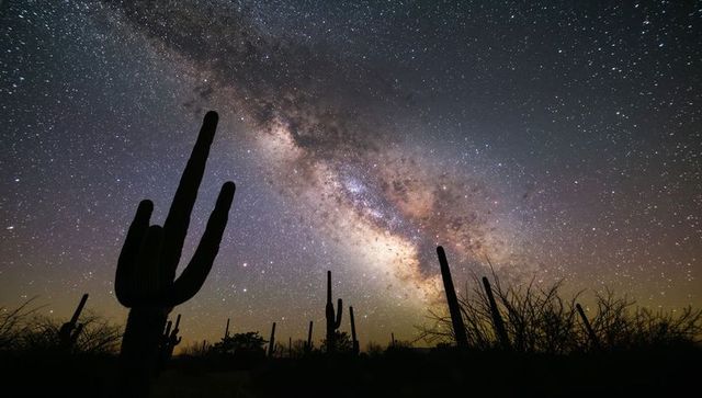 Saguaro Silhouettes Framing Milky Way Core Over Sonoran Desert Night Sky