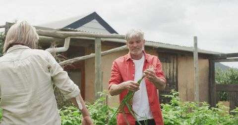 Senior Couple Enjoying Gardening on Rustic Outdoor Farm