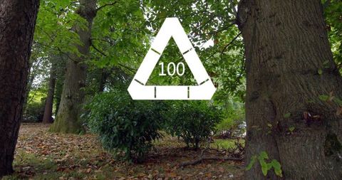 Floating ar triangular marker displaying 100 over woodland floor and tree trunks