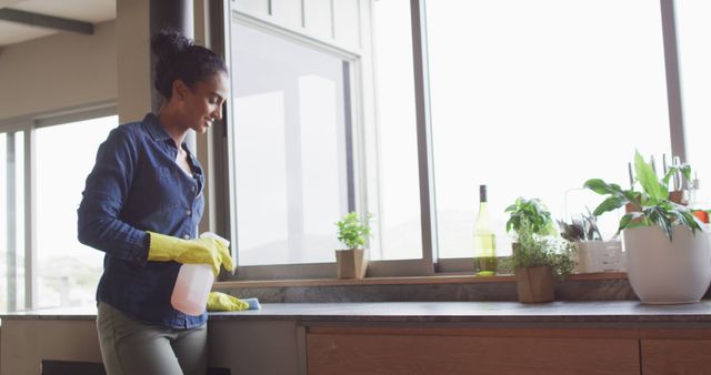 The image depicts a woman wearing yellow gloves and holding a spray bottle while cleaning a modern kitchen's countertop. The kitchen features potted plants, a large window allowing natural light, and various kitchen items. This image is perfect for showcasing housekeeping services, home hygiene practices, or cleaning product advertisements.