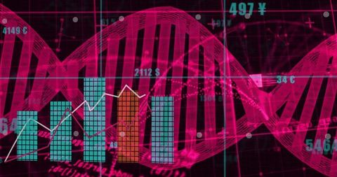 Innovative DNA Visualization with Bar Charts and Line Graphs