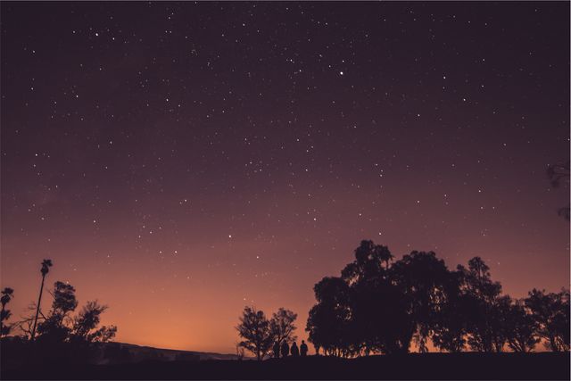 Silhouettes of trees stand against a starry night sky. An orange haze at the horizon provides a warm contrast to the twinkling stars above. Ideal for use in themes related to nature, tranquility, and astronomy. Perfect for backgrounds and desktop wallpapers, or promoting night-time outdoor activities and stargazing events.