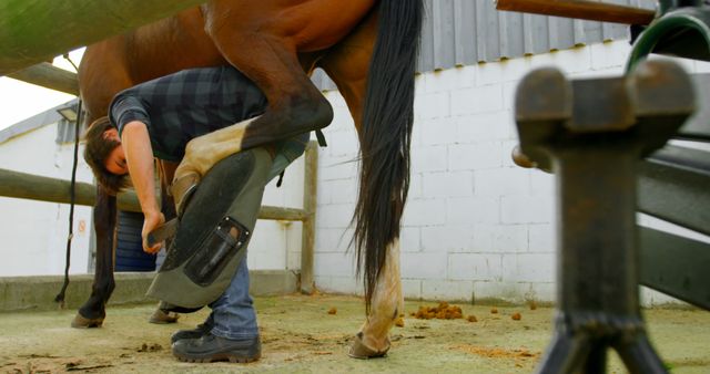 Farrier Trimming Horse Hoof Outdoors - Download Free Stock Images Pikwizard.com