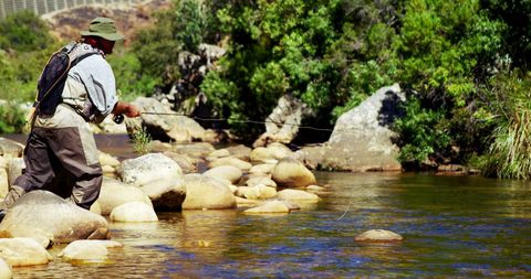 Man Fly Fishing in Scenic River Surrounded by Lush Nature