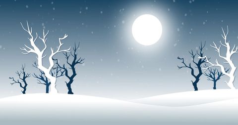 Winter Landscape with Bare Trees and Full Moon