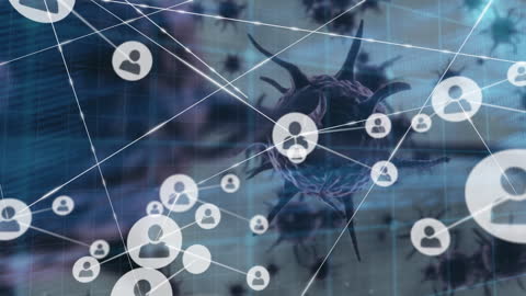 Digital Network of Connections Over Virus Cells