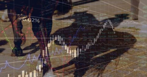 Digital Interface Overlay with Horse Shadow in Stable Environment