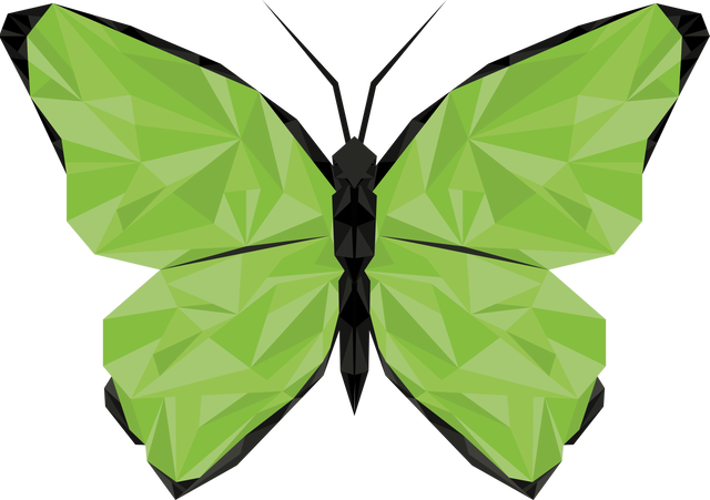 Green Butterfly Vector Illustration on Transparent Background - Download Free Stock Videos Pikwizard.com