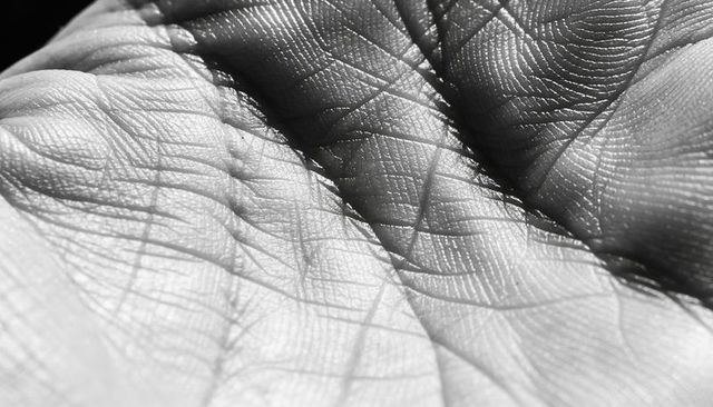 Revealing palm lines and skin texture in high-contrast monochrome macro