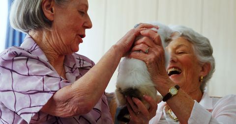 Joyful Senior Women Playing with Pet