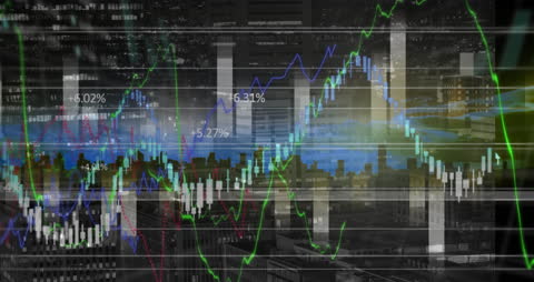 Financial Data Visualization with Dynamic Graphs
