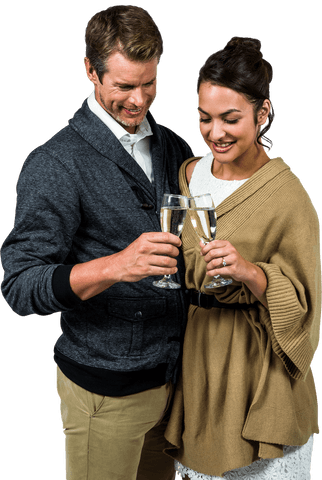 Smiling Couples Together Cheers Wine Transparent Background